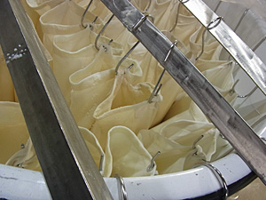 20120221-4.jpg