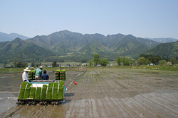 miyasaka090509-07.jpg