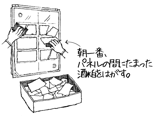 朝一番、パネルの間にたまった酒粕をはがす。