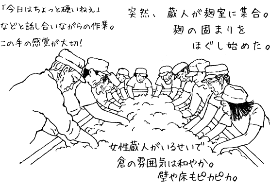切り返し/突然、蔵人が麹室に集合。麹の固まりをほぐし始めた。今日はちょっと硬いねえなどと話し合いながらの作業。この手の感覚が大切!