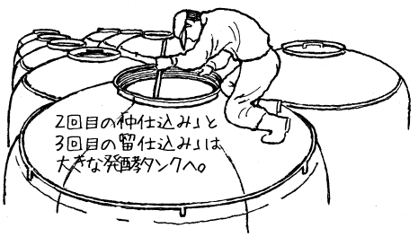 2回目の「仲仕込み」と3回目の「留仕込み」は大きな発酵タンクへ。