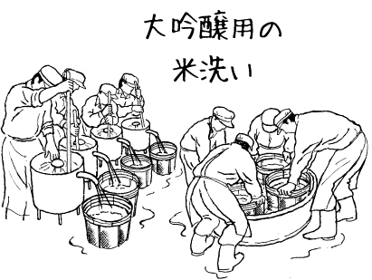 大吟醸用の米洗い(精米歩合40~45%)ステンレスのザルに入れて浸漬する