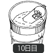 酒母十日目