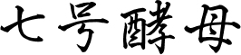 七号酵母